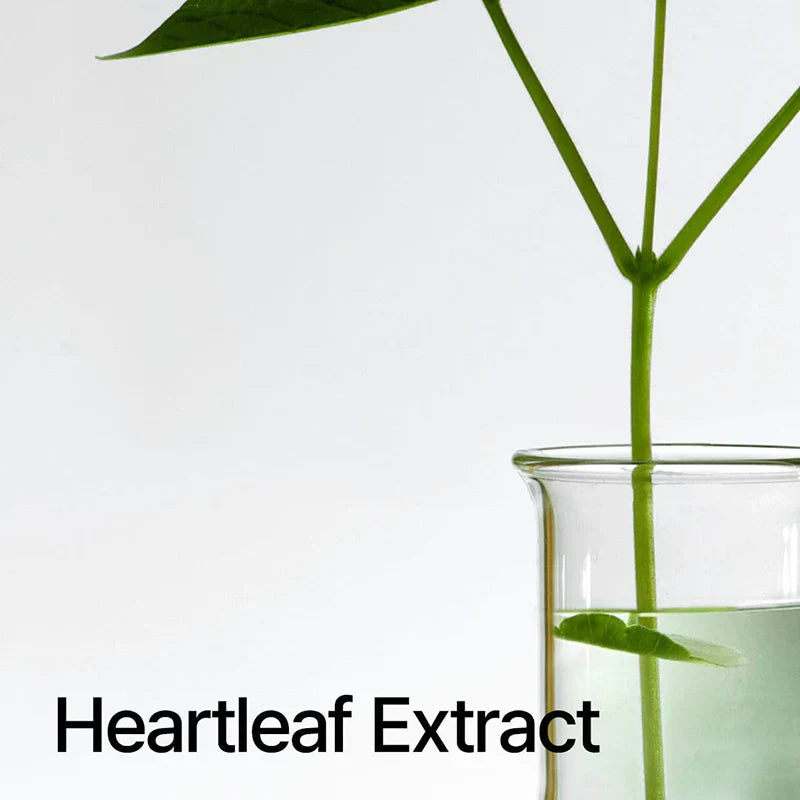 ANUA Heartleaf Pore Control Cleansing Oil